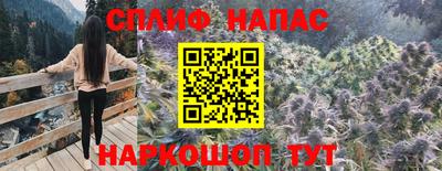 ГАЛЛЮЦИНОГЕННЫЕ ГРИБЫ Донской