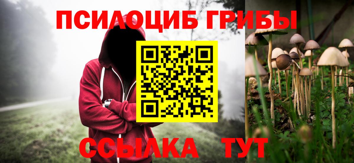 Новоалтайск  Псилоцибиновые грибы MAGIC MUSHROOMS  Вход с VPN  Псилоцибиновые грибы Psilocybe 