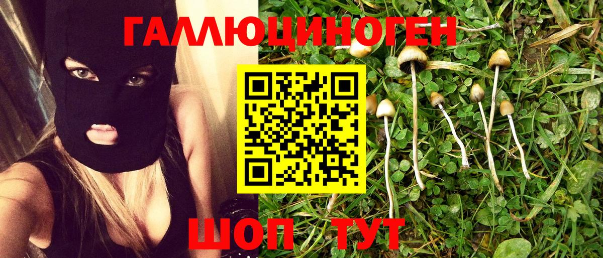 Галлюциногенные грибы прущие грибы Новоалтайск
